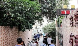 桂庙新村爆料案件最新进展,疑点重重，警方深入调查中